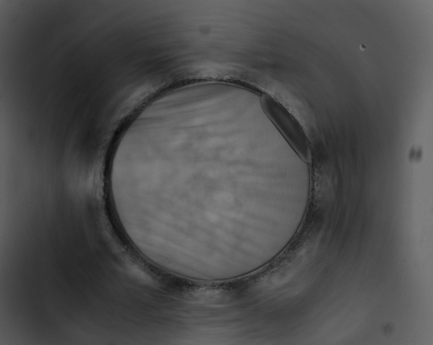 X0000102860581200809081308