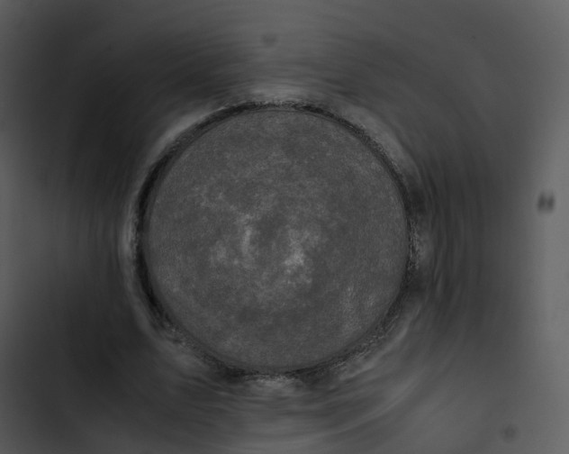 X0000102860583200809081308