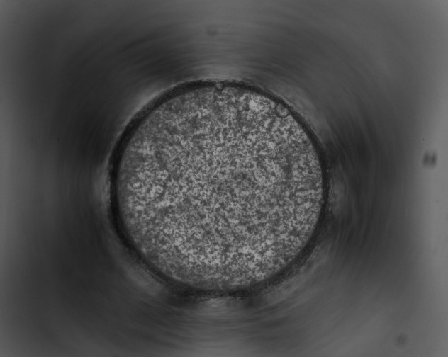 X0000102860584200809081308