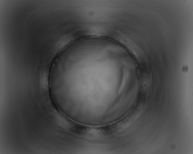 X0000102860585200809081308