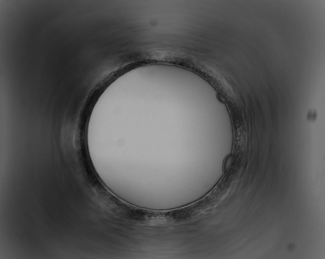 X0000102860587200809081308