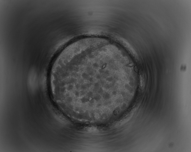 X0000102860588200809081308