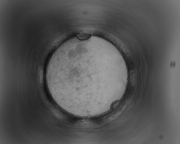 X0000102860589200809081308