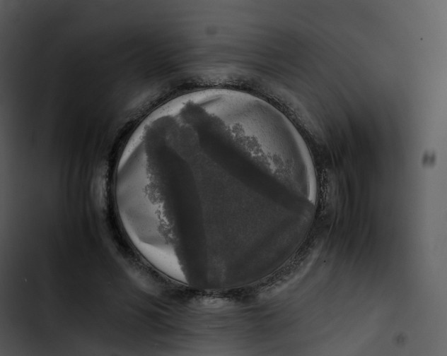 X0000102860590200809081308