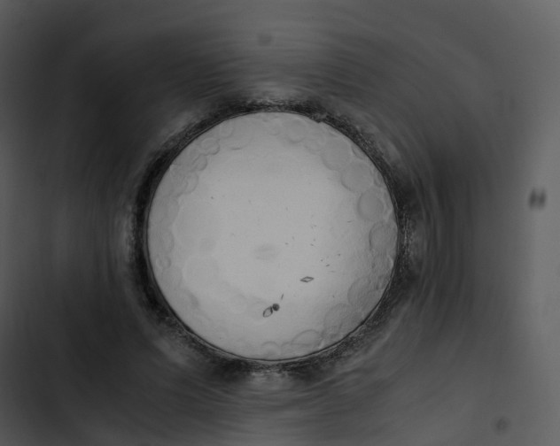 X0000102860591200809081308