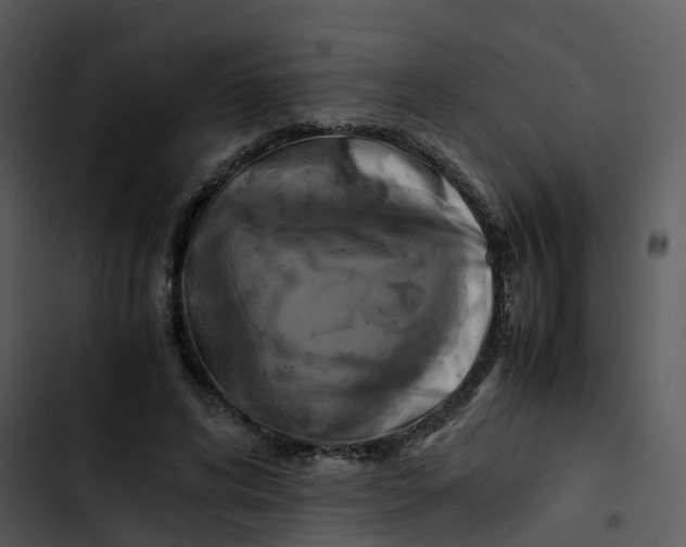 X0000102860592200809081308