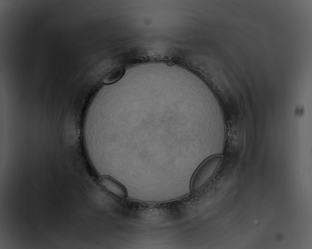 X0000102860593200809081308