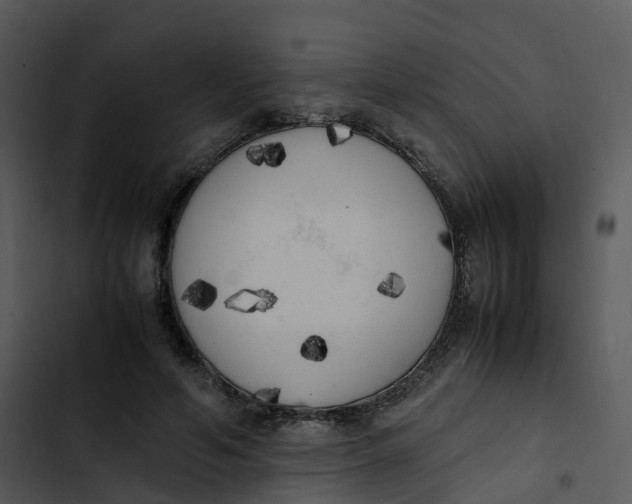 X0000102860594200809081308