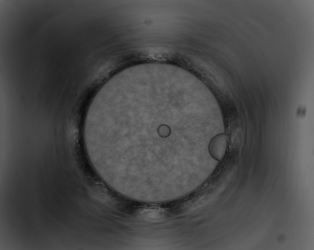 X0000102860595200809081308