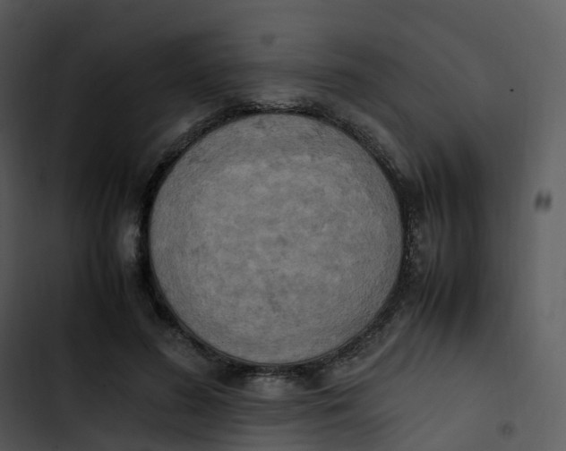 X0000102860596200809081308