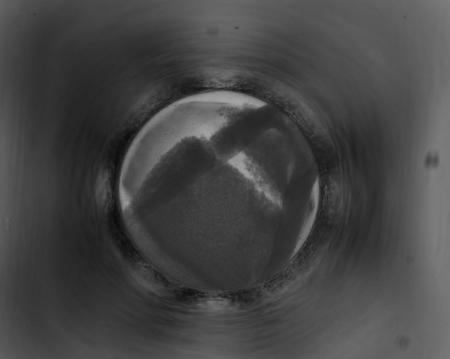 X0000102860598200809081308