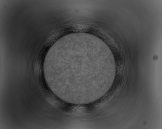 X0000102860599200809081308