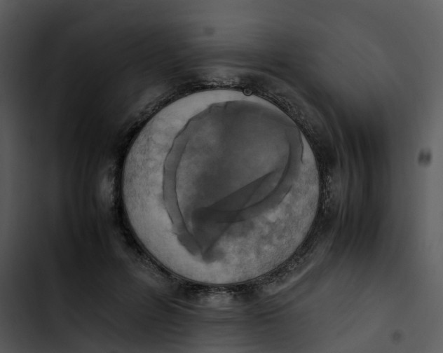 X0000102860600200809081308