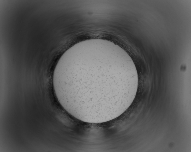 X0000102860601200809081308