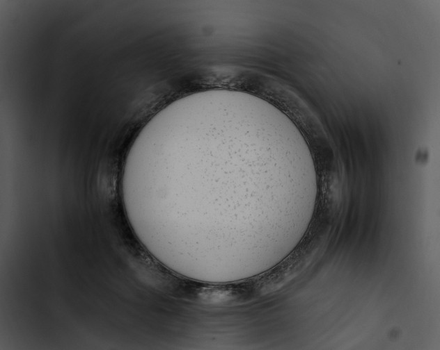 X0000102860602200809081308