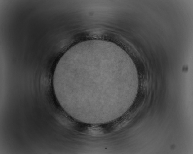 X0000102860603200809081308