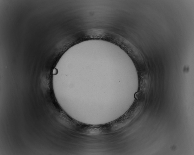 X0000102860604200809081308