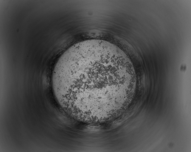 X0000102860606200809081308