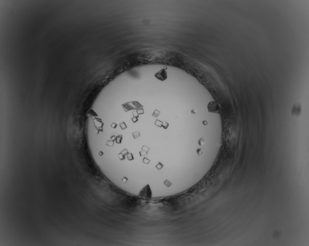 X0000102860607200809081308