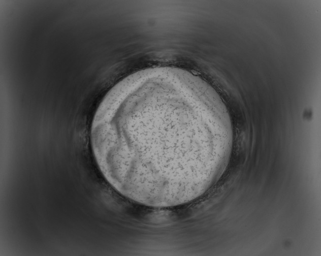 X0000102860609200809081308