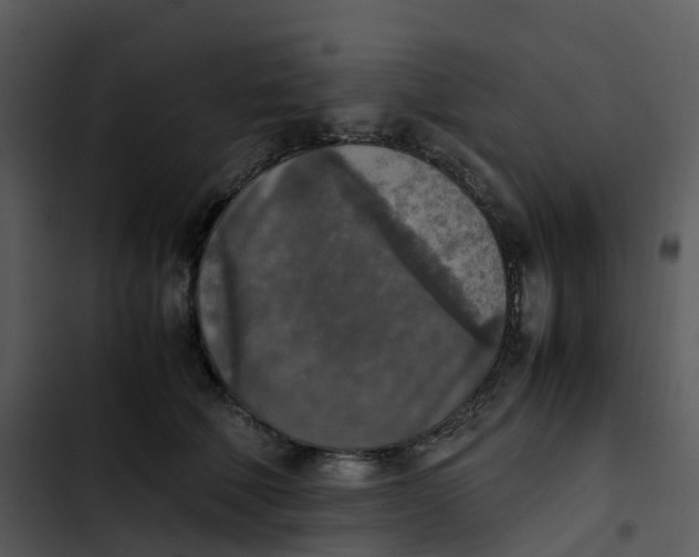 X0000102860610200809081308