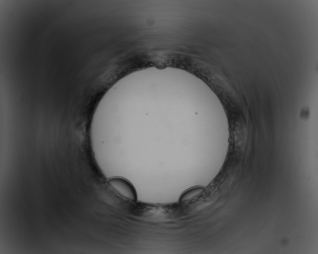 X0000102860611200809081308