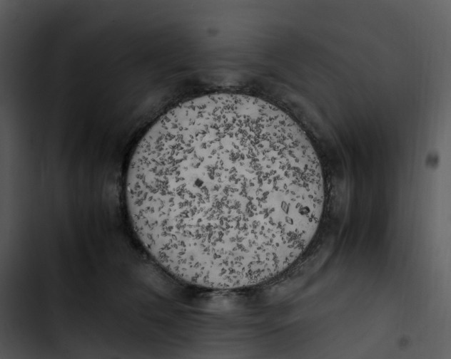 X0000102860612200809081308