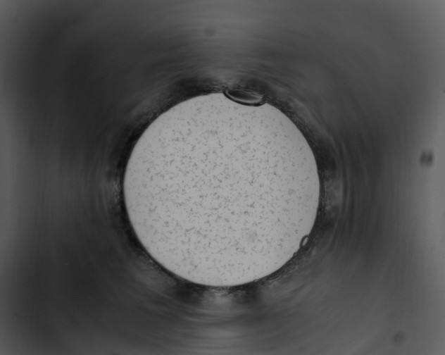 X0000102860613200809081308