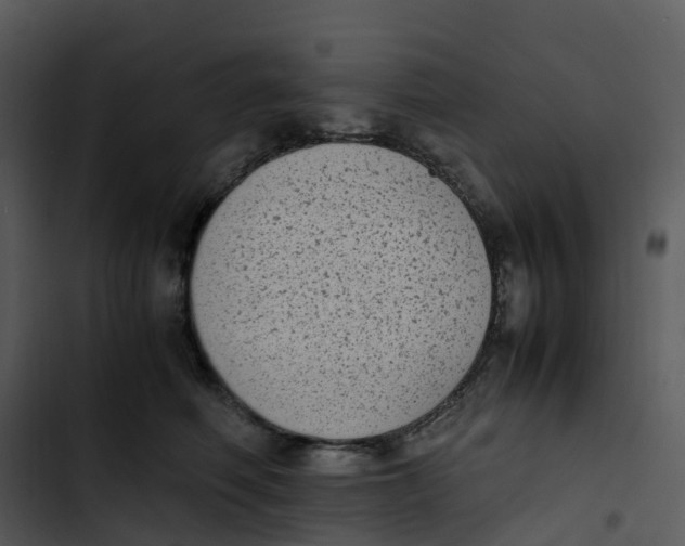 X0000102860614200809081308