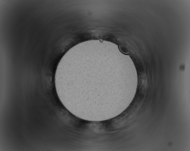 X0000102860615200809081308