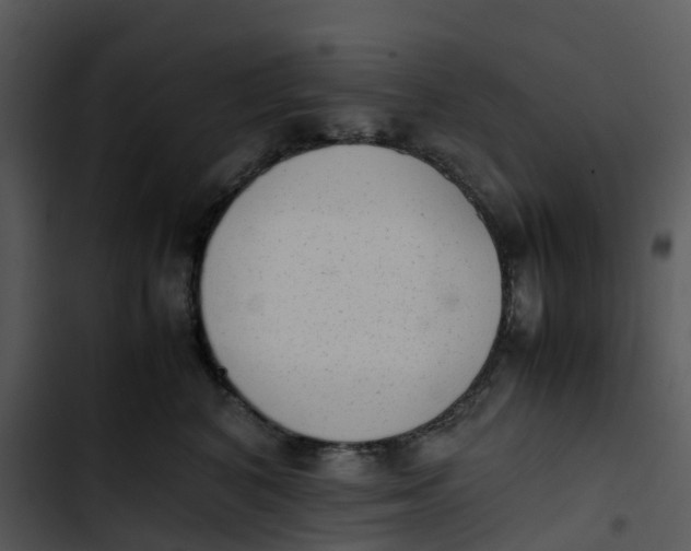 X0000102860616200809081308