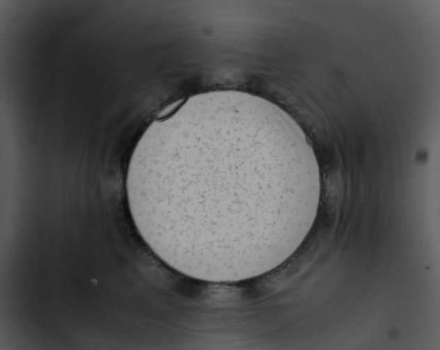 X0000102860617200809081308