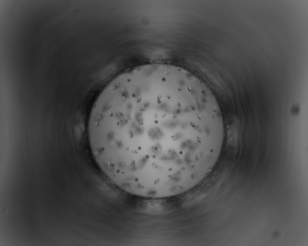 X0000102860618200809081308