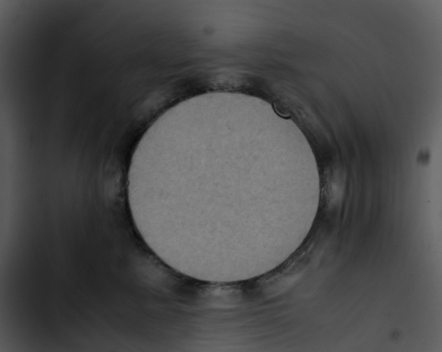 X0000102860619200809081308