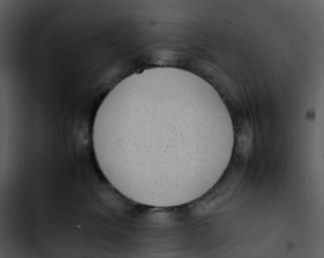 X0000102860620200809081308