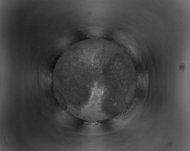 X0000102860621200809081308