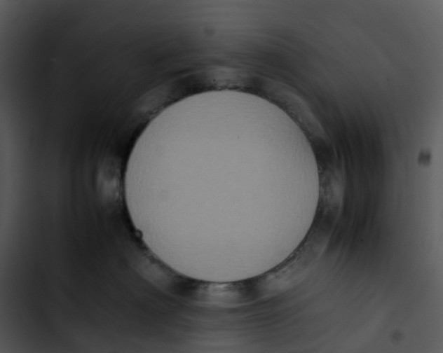 X0000102860622200809081308