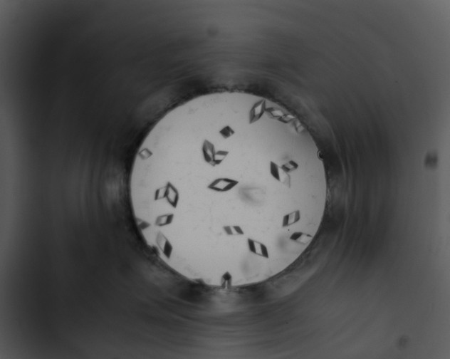 X0000102860623200809081307