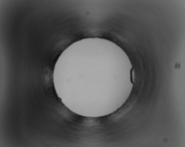 X0000102860624200809081307