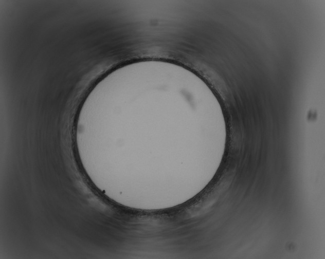 X0000102860625200809081307