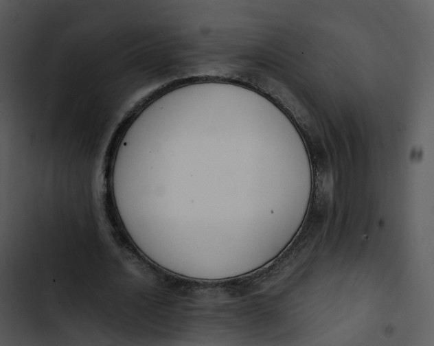 X0000102860628200809081307