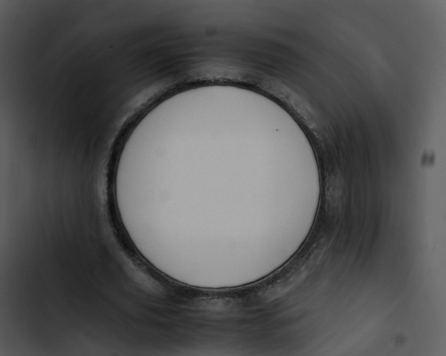 X0000102860629200809081307