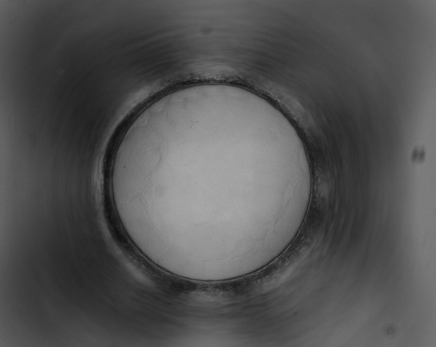 X0000102860630200809081307