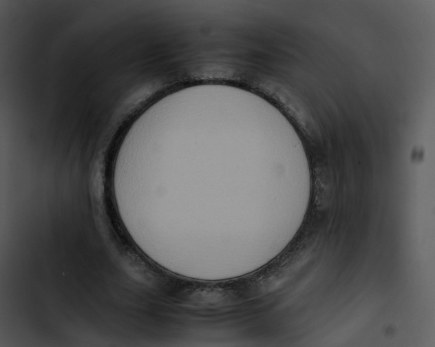 X0000102860631200809081307