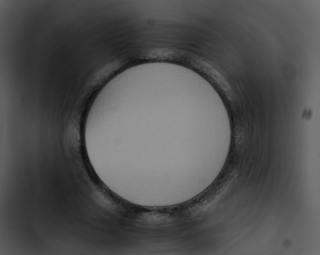 X0000102860633200809081307