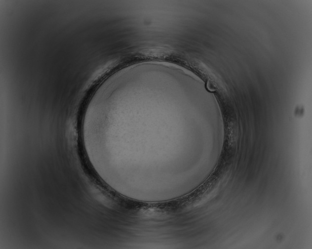 X0000102860634200809081307