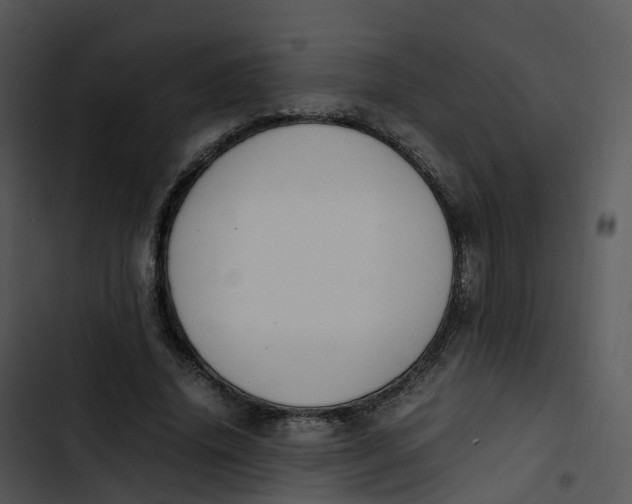 X0000102860636200809081307