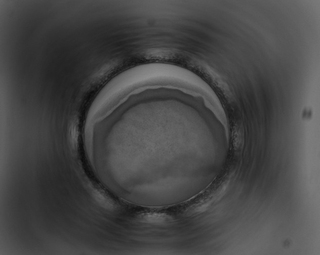 X0000102860637200809081307