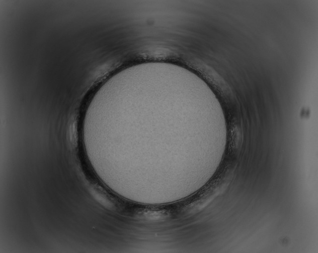 X0000102860638200809081307