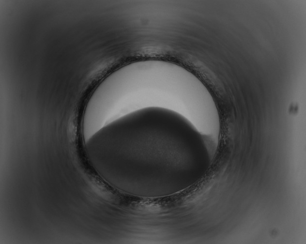 X0000102860640200809081307